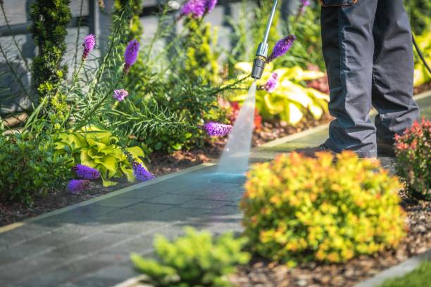 Best Patio and Deck Pressure Washing  in Prces Lakes, IN